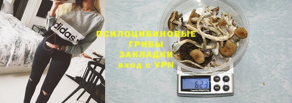 тгк Мегион