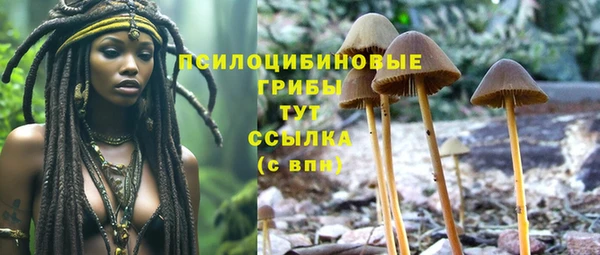 тгк Мегион