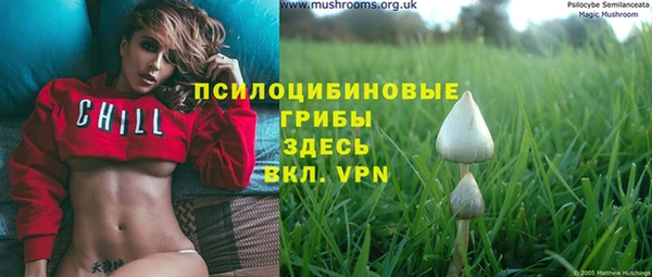 тгк Мегион