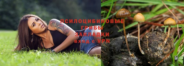 тгк Мегион